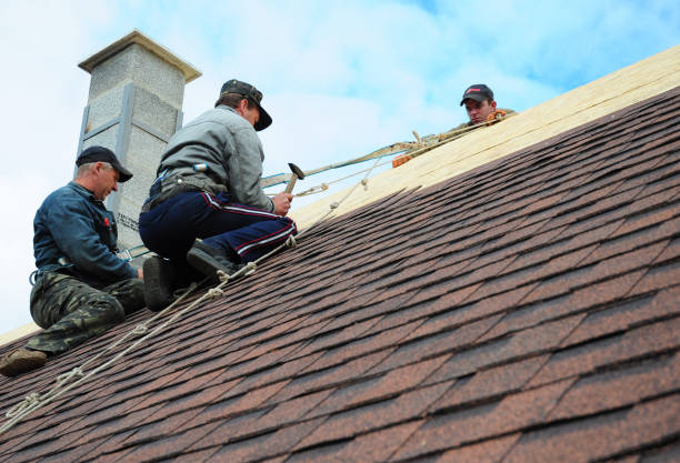 Best Local Roofing Companies  in Leisure Village East, NJ